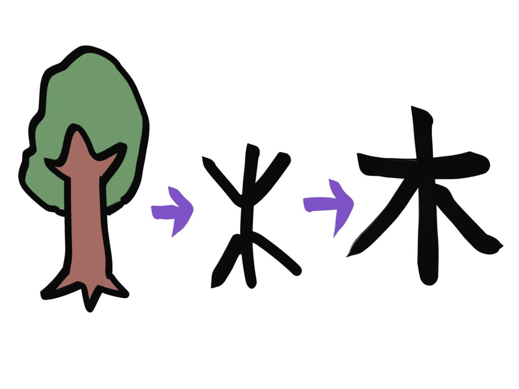 the Origin of Kanji "木 (tree)"